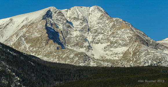 Powdered with Snow