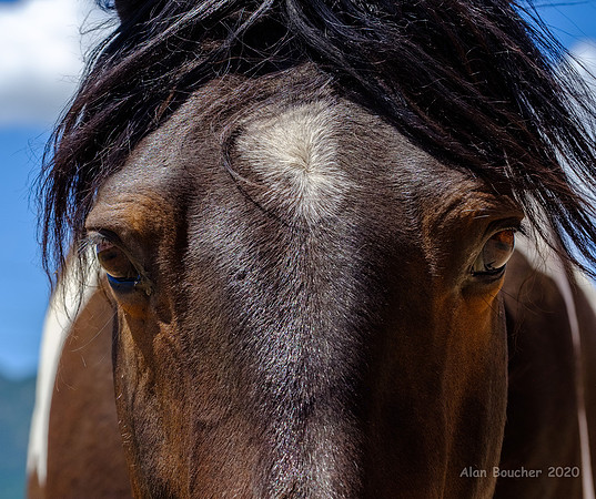 Up Close