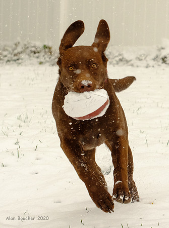 Playing Snow Football