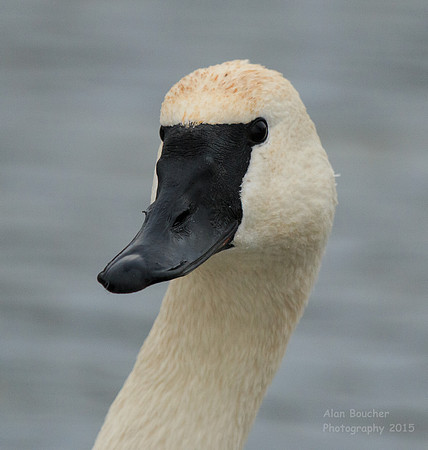 What are you lookin' at?