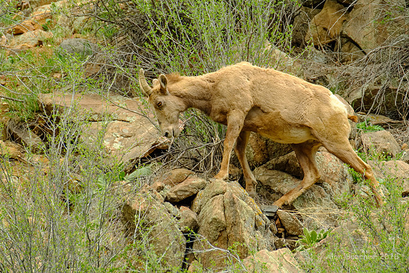 On the Move