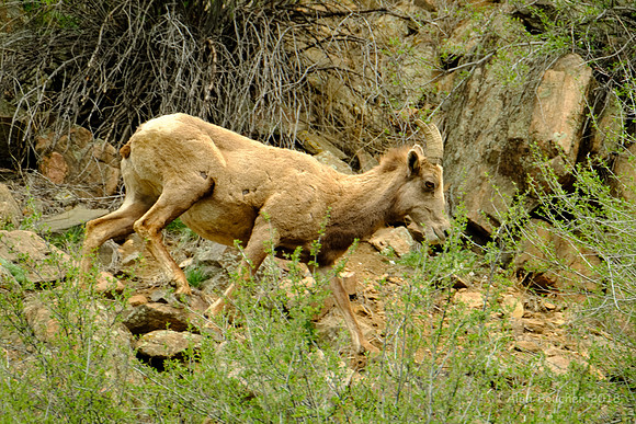 On the Move